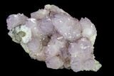 Cactus Quartz (Amethyst) Cluster - South Africa #113406-1